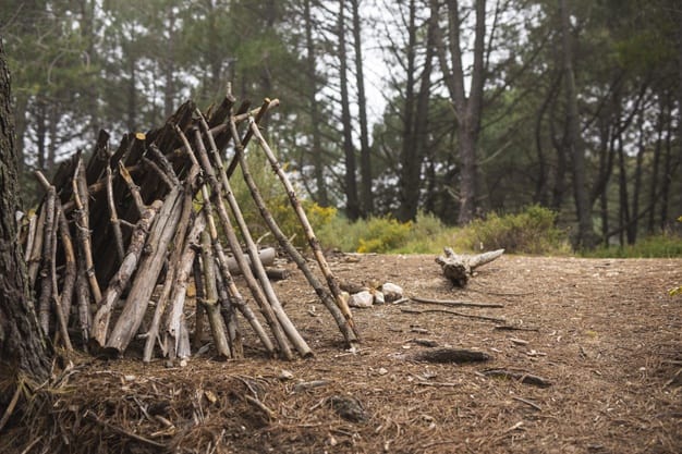 Camping shelter