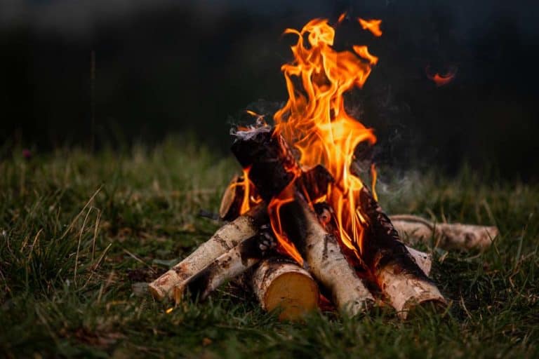 How to Start a Fire In The Wild - The Definitive Guide