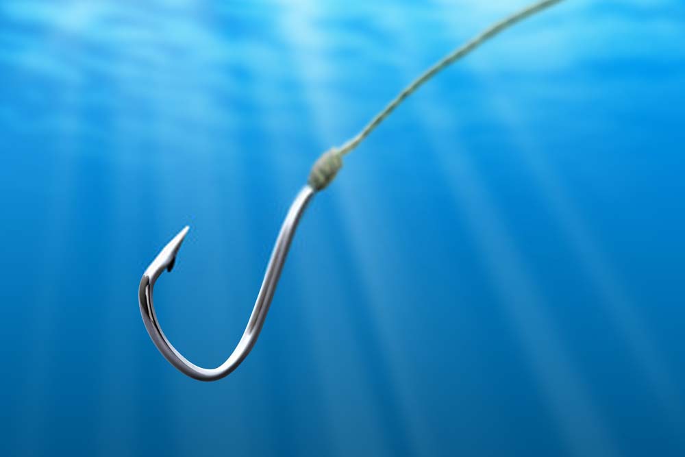 Fish And Hook