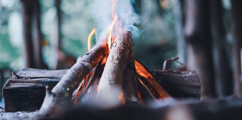 How to Start a Fire In The Wild The Definitive Guide
