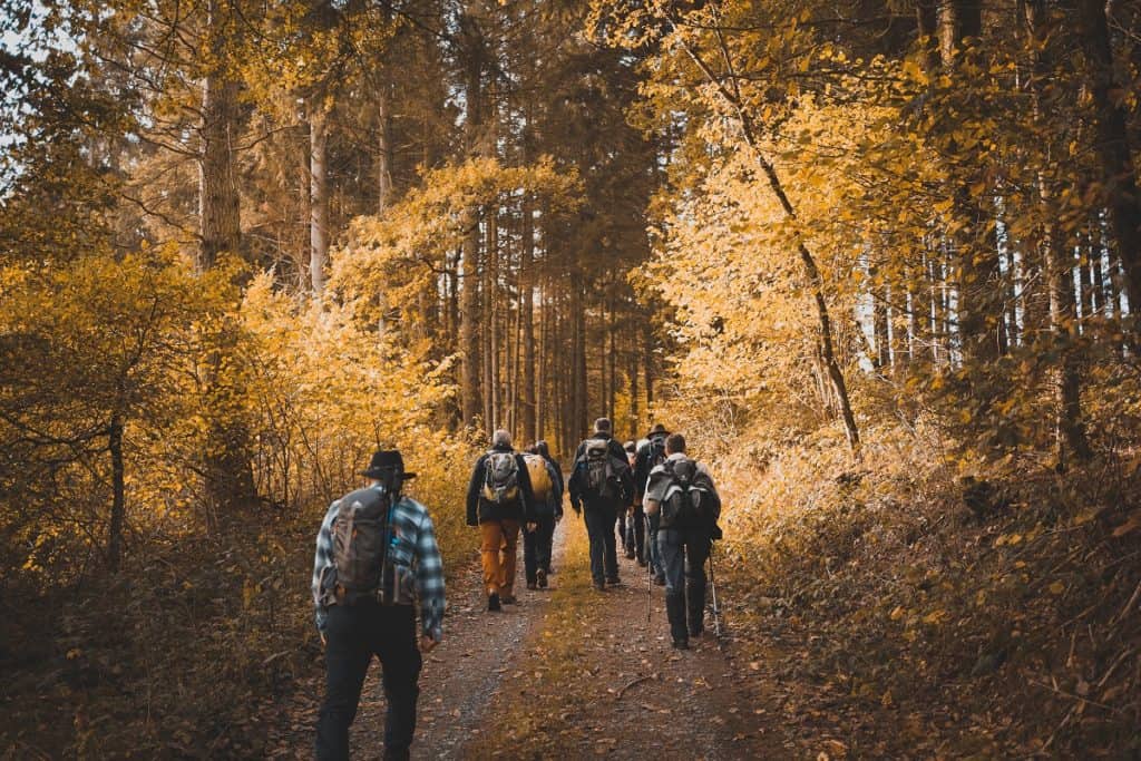 Group of people hiking with backpacks