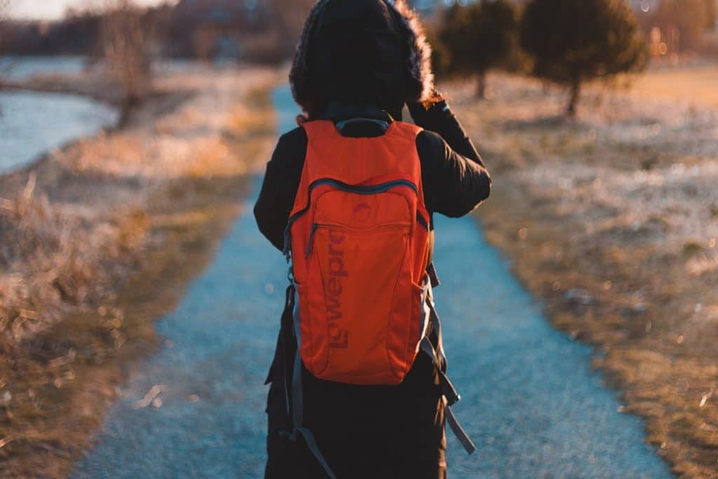 Lowepro backpack