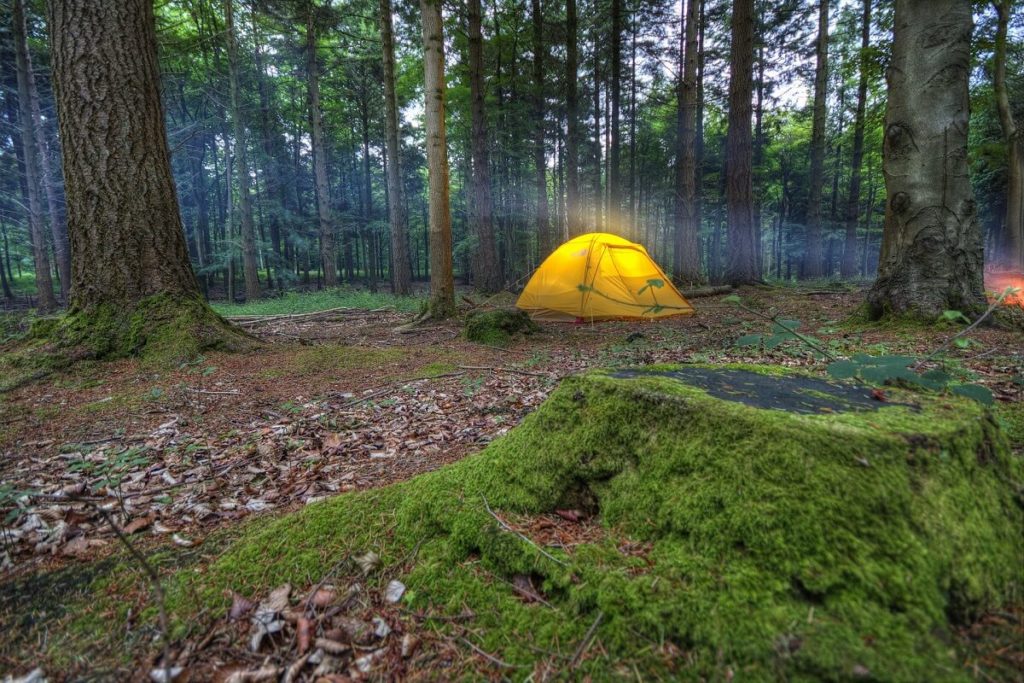 misty camping