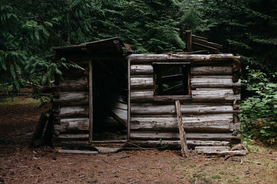 Protected from the elements in the woods