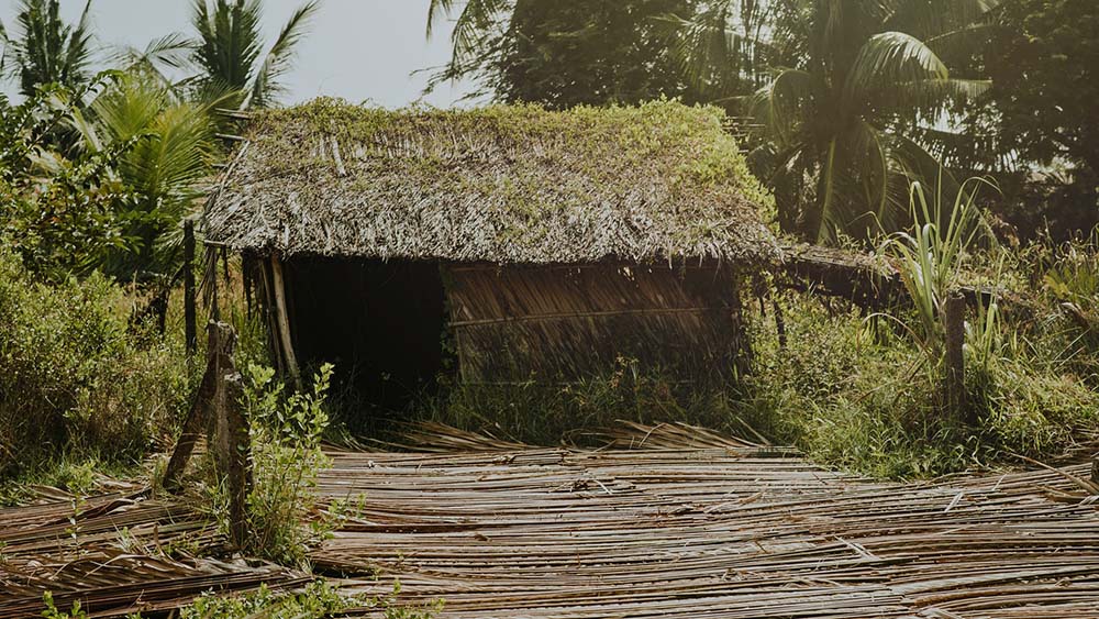 Shelter in the bushes