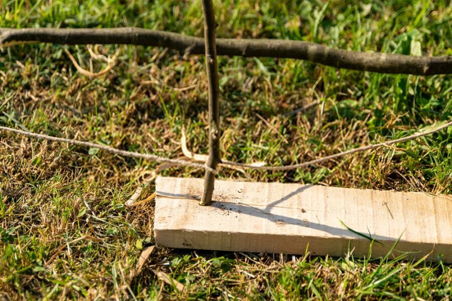 bow drill on the grass