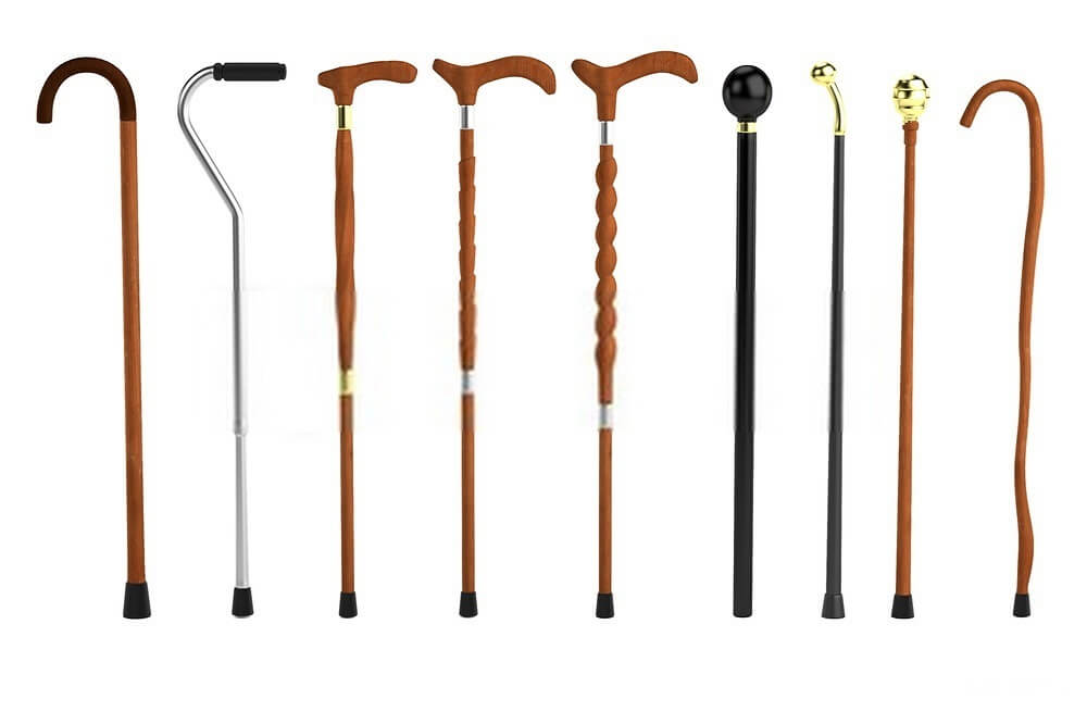 walking sticks